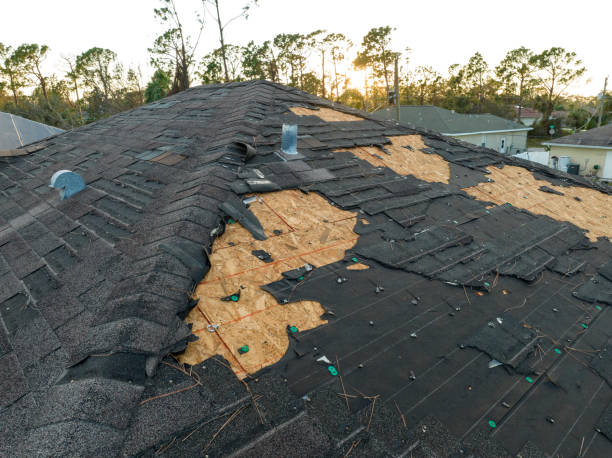 Best Solar Panel Roofing Installation  in USA